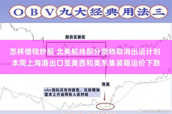 怎样借钱炒股 北美航线部分货物取消出运计划 本周上海港出口至美西和美东集装箱运价下跌