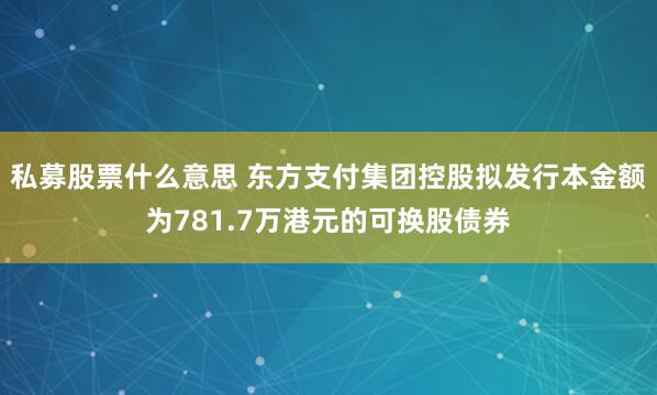 私募股票什么意思 东方支付集团控股拟发行本金额为781.7万港元的可换股债券