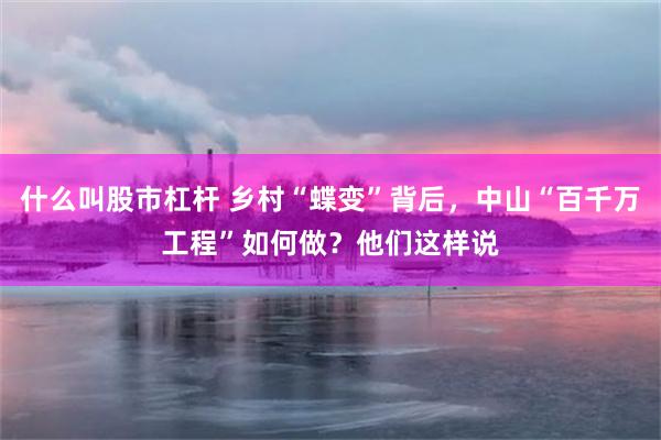 什么叫股市杠杆 乡村“蝶变”背后，中山“百千万工程”如何做？他们这样说