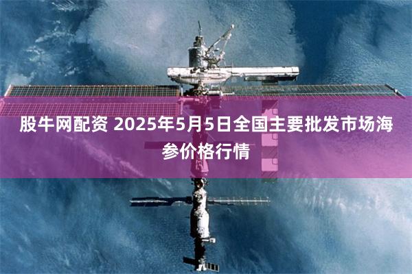 股牛网配资 2025年5月5日全国主要批发市场海参价格行情