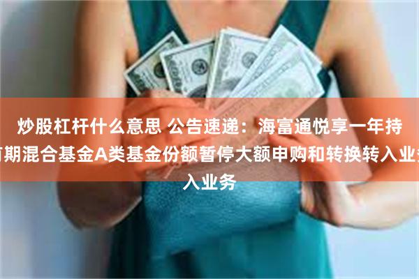 炒股杠杆什么意思 公告速递：海富通悦享一年持有期混合基金A类基金份额暂停大额申购和转换转入业务
