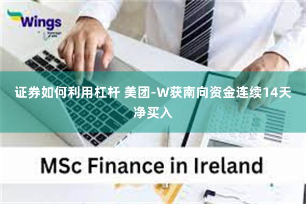证券如何利用杠杆 美团-W获南向资金连续14天净买入