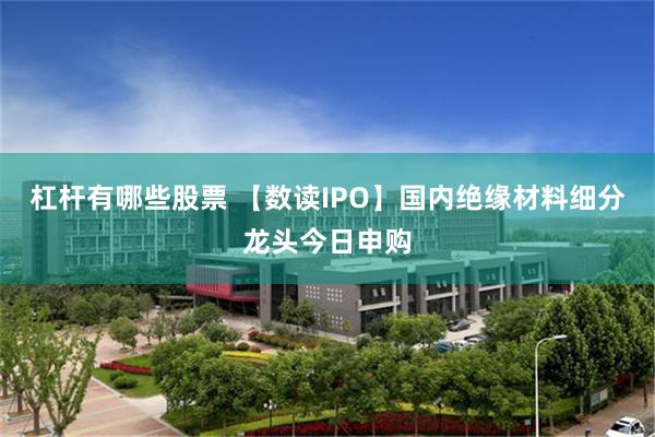 杠杆有哪些股票 【数读IPO】国内绝缘材料细分龙头今日申购