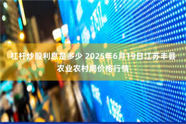 杠杆炒股利息是多少 2025年6月19日江苏丰县农业农村局价格行情
