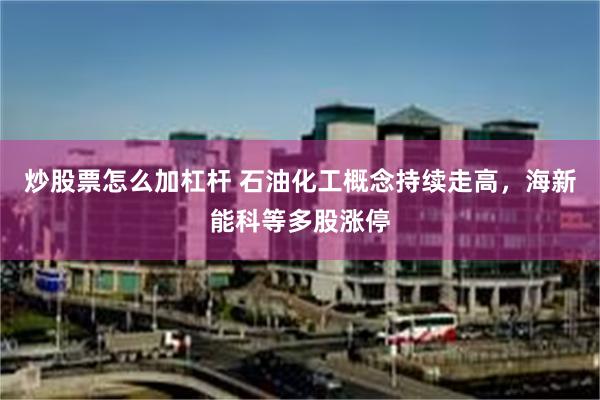 炒股票怎么加杠杆 石油化工概念持续走高，海新能科等多股涨停