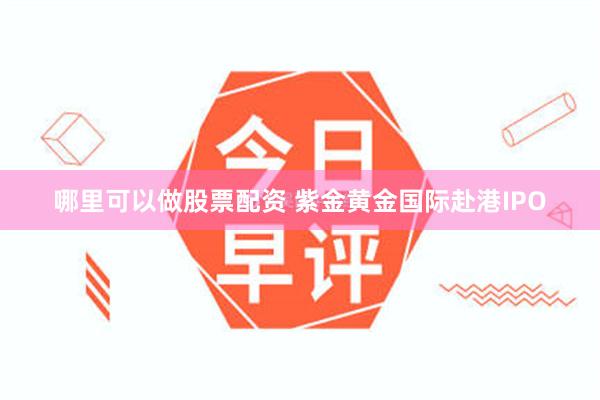 哪里可以做股票配资 紫金黄金国际赴港IPO