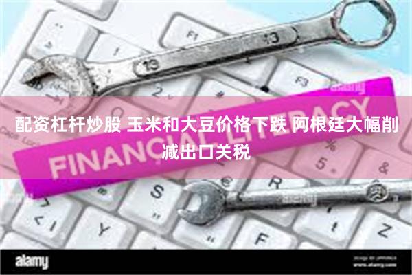配资杠杆炒股 玉米和大豆价格下跌 阿根廷大幅削减出口关税