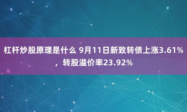 杠杆炒股原理是什么 9月11日新致转债上涨3.61%,转股溢价率23.92%