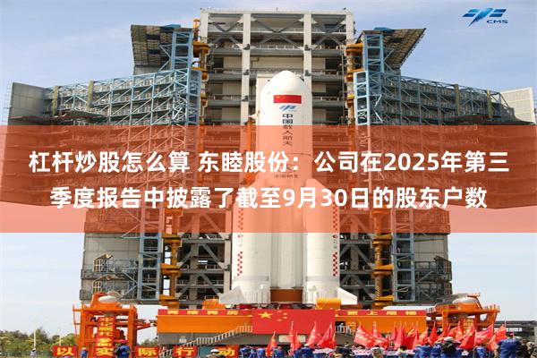 杠杆炒股怎么算 东睦股份：公司在2025年第三季度报告中披露了截至9月30日的股东户数