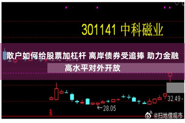 散户如何给股票加杠杆 离岸债券受追捧 助力金融高水平对外开放